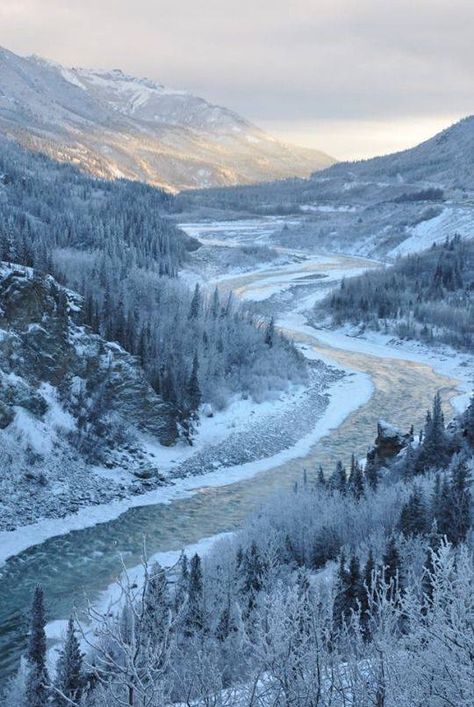 Denali National Park in Alaska Sun Rises, Denali National Park, Winter Scenery, Winter Wonder, Winter Solstice, Winter Landscape, The Horizon, Winter Scenes, Scuba Diving