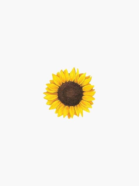 Apple Watch Custom Faces, Sunflower Iphone Wallpaper, Sunflower Sticker, Sunflowers Background, Sunflower Drawing, Sunflower Tattoos, Tatuaje A Color, Sunflower Wallpaper, Hyogo