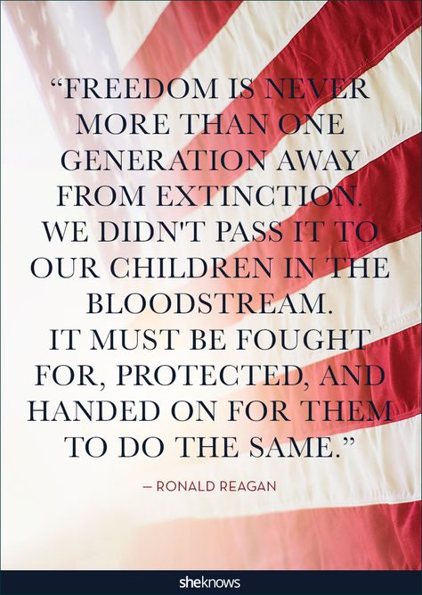 Colleen Seymour Crafts Ronald Reagan Quotes, America Quotes, Veteran Quotes, Memorial Day Quotes, July Quotes, Patriotic Quotes, Now Quotes, Freedom Quotes, 25th Quotes