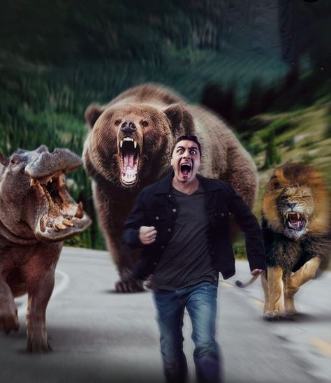 10 Animals, Bear Attack, Animal Attack, Backdrop Photo, Dangerous Animals, Funny Tattoos, How To Survive, Curvy Model, Fnaf Art