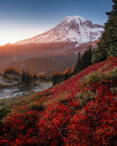 RYAN RESATKA on Instagram: “Mountainside autumnal lava flow 🔥🍂 the reds have been stellar out here lately. So excited to get out and shoot more falls stuff these next…” Lava Flow, The Lake District, Lake District, Getting Out, Mount Rainier, Beautiful Views, Fall Season, So Excited, United States Of America