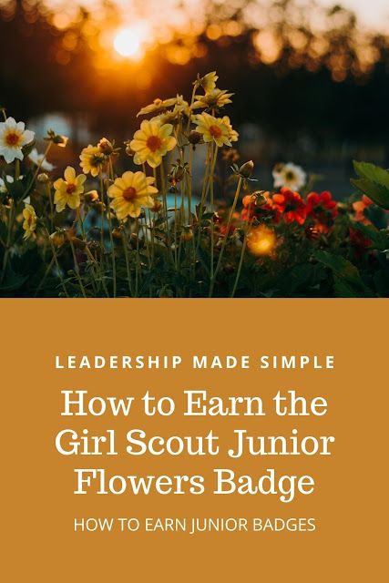 Junior Girl Scouts Activities, Junior Badges, Scouts Activities, Junior Girl Scout Badges, Girl Scout Daisy Activities, Junior Detective, Brownie Scouts, Junior Mints, Girl Scout Badges