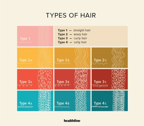 Types of Hair: How to Style and Care for Your Hair Type Type 2b Haircut, Hair Branding, Braid Crown, Porous Hair, Mclaren 650s, Course Hair, Ethiopian Women, Curly Hair Types, Type 4 Hair