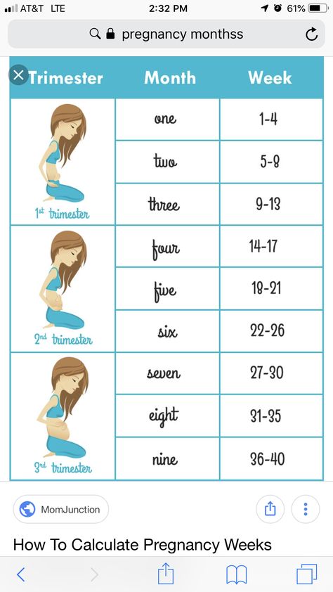 Pregnancy Weeks And Months, Weeks To Months Pregnant, Pregnancy Weeks, Baby Registry Guide, Pregnancy Chart, Pregnancy Facts, 1st Trimester, 3rd Trimester, Nursing Baby