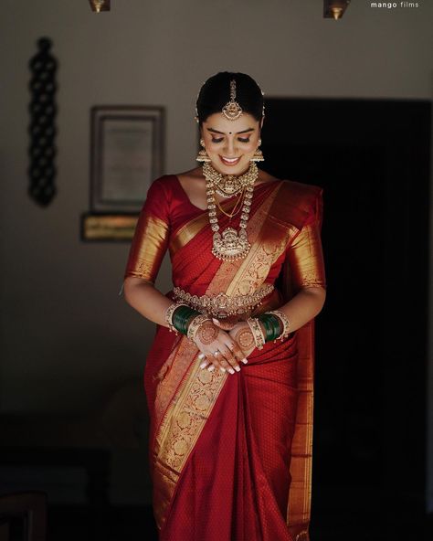 Bridal Saree Blouse Designs, South Indian Bridal Sarees, Bridal Saree Look, Blouse Designs Bridal, Wedding South Indian, Bridal Saree Blouse, Wedding Bridal Saree, Red Saree Wedding, Saree South Indian