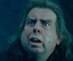 Peter Pettigrew Peter Pettigrew Harry Potter, Giselle Enchanted, Peter Pettigrew, Harry Potter Icons, Harry Potter Magic, Harry Potter Draco Malfoy, Harry Potter Fan Art, Harry Potter Fantastic Beasts, Harry Potter Fan