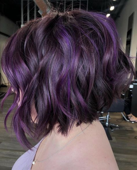 Short Curly Hair Purple Highlights, Vivid Balayage Short Hair, Purple Hair Brown Roots, Black And Purple Hair Short, Bob With Purple Highlights, Purple Hair Short, 2a Hair, Short Purple Hair, Purple Hair Highlights