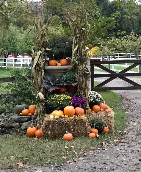 Entrance gate decor Fall Gate Entrance Decorations, Driveway Decorations, Farm Gates Entrance, Porches Ideas, Entrance Landscaping, Fall Porches, Fall Entry, Driveway Entrance Landscaping, Gate Entrance