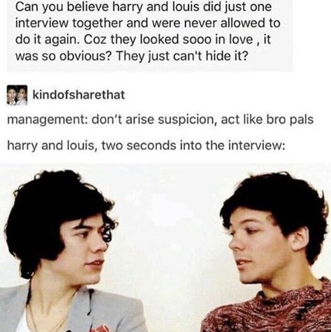 Larry Proof, Cordens Angels, Twitter Meme, Tragic Love Stories, One Direction Images, One Direction Louis, Just Deal With It, Larry Shippers, Louis (one Direction)