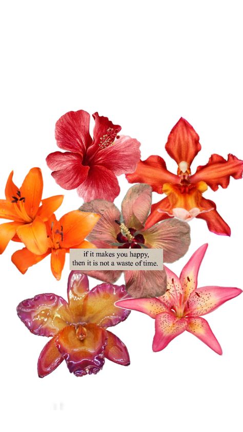 💐 Flowers Wallpaper Aesthetic, Quotes Affirmations, Wallpaper Iphone Summer, Wallpaper Floral, Iphone Wallpaper Photos, Flower Therapy, Phone Wallpaper Patterns, Flowers Wallpaper, Art Wallpaper Iphone