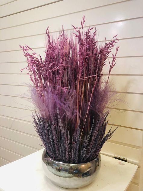 Preserved Grasses Decor Tips, Pampas Grass, Grasses, Home Decor Tips, Plum, Purple, Plants, Home Decor, Home Décor