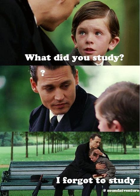 #Meme #Education What did you Study? #Motivational #quotes #students http://soundatventure.blogspot.com/2014/02/20-motivational-quotes-for-students.html Marina Joyce, Nba Funny, Ned Stark, Finding Neverland, Motivational Quotes For Students, Movie Memes, Girl Memes, Friday Humor, Funny Captions