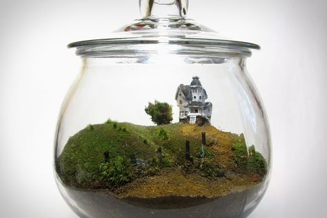 Beetlejuice Terrarium- totes awesome!!! but shouldn't it be 'Betelguese'? Crochet Planters, Beetlejuice House, Tim Burton Beetlejuice, Miniature Terrarium, Mini Terrarium, نباتات منزلية, Terrarium Diy, Garden Terrarium, Terraria