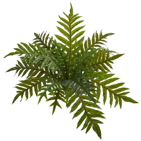 NEW Silk and Artificial Plants | Nearly Natural Fern Bush, Buku Harry Potter, Silk Floral Arrangements, Fern Plant, Silk Plants, Nearly Natural, Real Plants, Fake Plants, Faux Plants