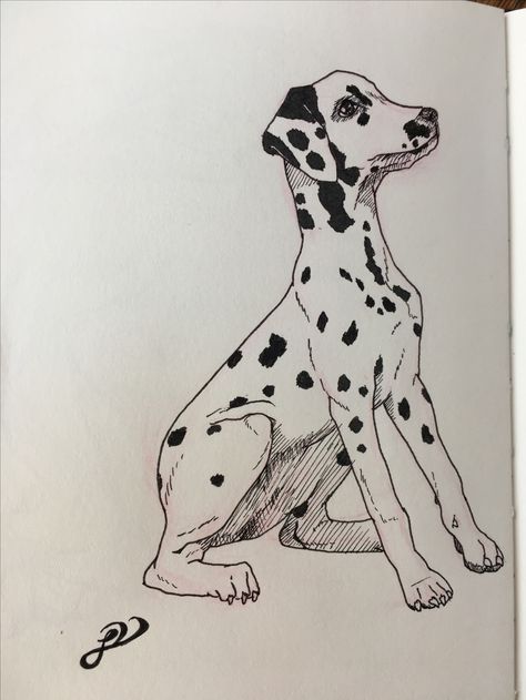 Dalmatian Puppy Drawing, Dalmatian Dog Drawing, Dalmatian Sketch, Dalmation Puppy Drawing, Dalmatian Doodle, Dalmation Drawing, Dalmatian Drawing, Puppy Drawing Easy, Puppy Drawing