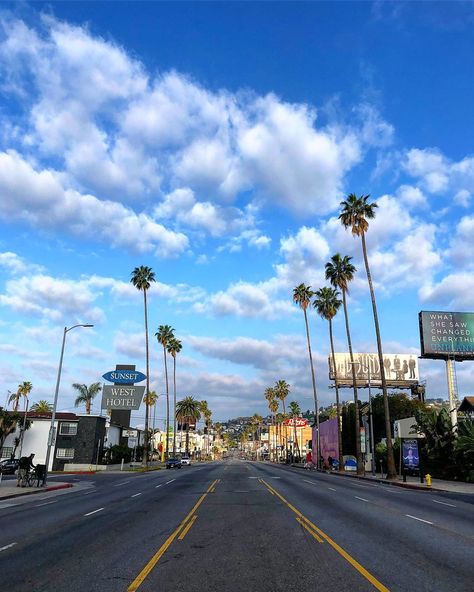 Los Angeles Morning Aesthetic, California On Film, Los Angeles On Film, Los Angeles Palm Trees, Disneyland Ca, America Trip, Keep It Moving, Hollywood Boulevard, Living In La