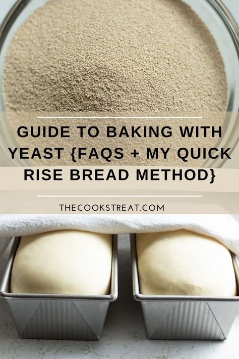 Whether you are a beginner or an seasoned bread maker, this guide will give you the tools you need to have success with breadmaking. It includes helpful information, tips, and answers to frequently asked questions that will help you have confidence as you bake bread and rolls. Also included is my quick rise bread method that has been tried and tested with many different kinds of bread. #TheCooksTreat Quick Rise Bread, Bread Rustic, Nan Bread, Kinds Of Bread, Garbage Bread, Seasoned Bread, Homemade Breads, Bake Bread, Yeast Breads