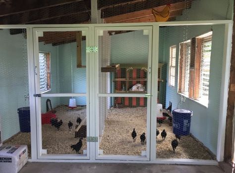 Shed To Chicken Coop, Shed Chicken Coop, Chicken Shed, Duck Coop, Portable Chicken Coop, Spoiled Pets, Coop Design, Best Chicken Coop, Chicken Coop Designs