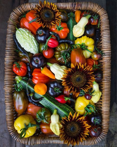 Nothing beats a beautiful harvest basket of delicious homegrown food!  What are you most excited to be harvesting this summer? Homegrown Food, Harvest Basket, This Summer, Stuffed Peppers