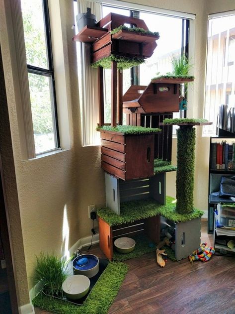 Diy Indoor Cat House, Diy Cat Tower, Cat Room Decor, Cat Furniture Design, Katt Grejer, Cat Castle, Colorful Hairstyles, Cat Patio, Diy Cat Tree