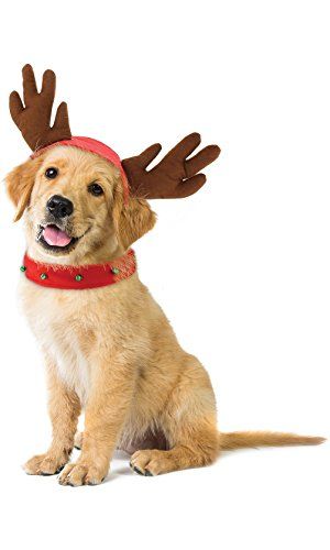 Dog Reindeer, Dog Christmas Pictures, Reindeer Outfit, Reindeer Costume, Christmas Dog Outfits, Reindeer Dog, Dog Antlers, Puppy Accessories, Reindeer Antlers