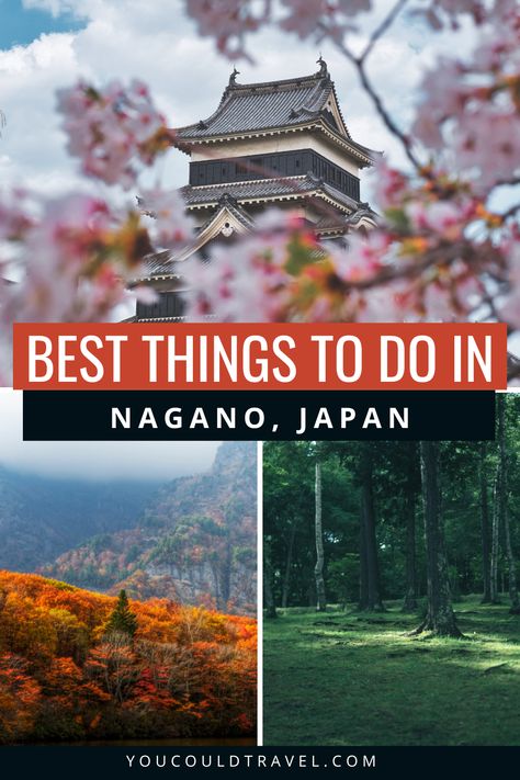 best things to do in Nagano Japan: top picture is Matsumoto castle, picture bottom left is lake kagumi during autumn and bottom right is a forested path in Nagano Japan Bucket List, Nagano Japan, Japan Itinerary, Japanese Photography, Go Skiing, My Favourite Things, Asia Destinations, Nagano, Water Activities