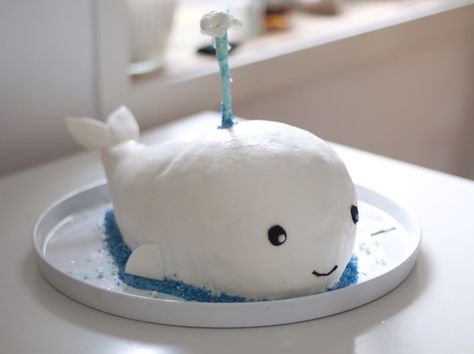 Whale cake Narwhal Party, Whale Cake, Whale Cakes, Baby Beluga, Beluga Whales, Whale Birthday, Edible Food, Special Occasion Cakes, A Whale