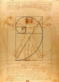 Golden Ratio Art, Fibonacci Art, Golden Proportion, Da Vinci Vitruvian Man, Fibonacci Golden Ratio, Golden Rectangle, The Golden Mean, Divine Proportion, Golden Spiral