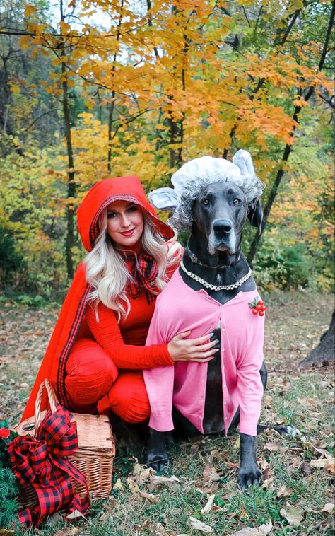 Funny Dog Halloween Costumes With Owner, Great Dane Halloween Costumes Diy, Dog Wolf Costume, Dog Costumes Big Dogs, Duo Halloween Costumes With Dog, Matching Halloween Costume With Dog, Costume For Dogs And Owners, Large Dog Costume Ideas, Halloween Costume Dog And Owner