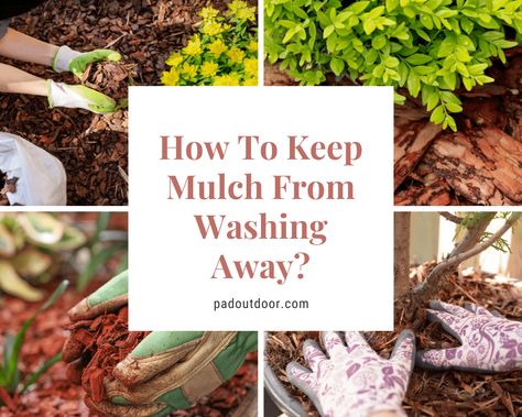 How To Keep Mulch In Place, Diy Mulch Glue Recipe, Sheet Mulching, Garden Mulch, Plants Under Trees, Flower Bed Edging, Mulch Landscaping, Landscape Borders, Plant Help