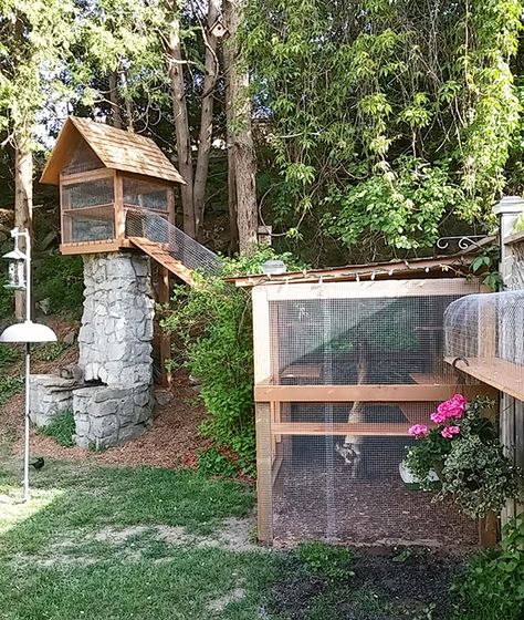 Another awesome outdoor cat enclosure - Cuckoo4Design Cat Jungle Gym, Diy Cat Enclosure, Katt Diy, Cat Jungle, Diy Chat, Katt Grejer, Chat Diy, Kat Diy, Cat Patio