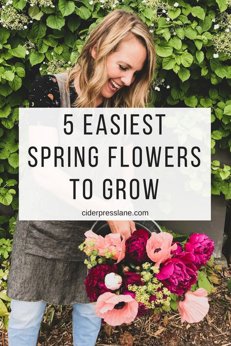 5 Easiest Spring Flowers to GROW! — ciderpress lane What To Plant In The Spring, How To Grow Daliah Flower, South Facing Flower Bed Ideas, Flowers To Grow In A Greenhouse, Flower Garden Around House, Easy To Grow Flowers From Seeds, Flower Garden In Front Of House, Flowers Around Shed, Flowers That Bloom In Spring