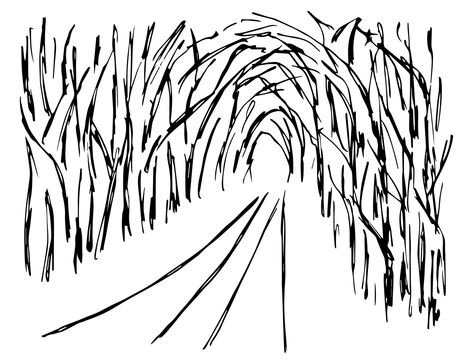 Overgrown Forest, Dark Trees, Nature Road, Forest Drawing, Tree Tunnel, Dark Tree, Tree Sketches, Forest Path, Forest Road