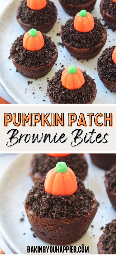 Pumpkin Patch Brownie Bites, store bought brownie bites made to look like little pumpkin patches! They make the perfect, easy Fall dessert! Candy Corn Recipe, Fun Food Ideas For Kids, Easy Thanksgiving Dessert Recipes, Sweet Easy Recipes, Chocolate Peanut Butter Smoothie, Thanksgiving Snacks, Food Easy Recipes, Thanksgiving Desserts Easy, Food Ideas For Kids