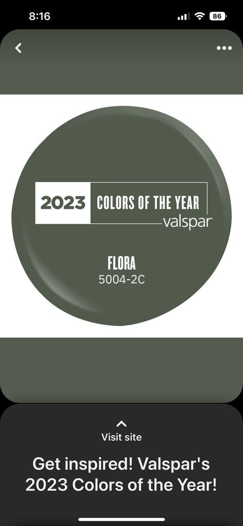 Flora Valspar Paint, Flora By Valspar, Flora Valspar, Valspar Garden Flower Paint, Valspar Flora Paint, Valspar Flora Green, Valspar Night View, Valspar Nature Lover, Dark Cottagecore Living Room