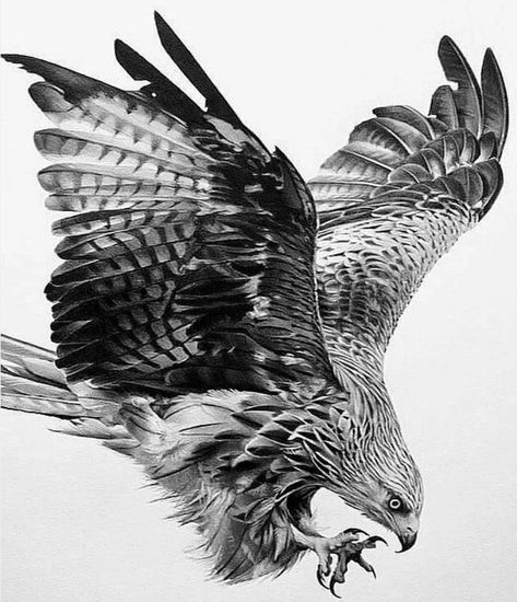 Hawk Tattoo Sleeve, Hawk Tattoos, Flying Phoenix Tattoo, Dragon Koi Tattoo Design, Falcon Tattoo, Most Beautiful Tattoos, Crow Images, Owl Tattoo Drawings, Shoulder Movement