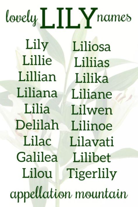 Love Lily, but looking for something a little longer? Lots of possibilities to consider! #girlnames #babynames #namingbaby #appellationmountain Lilith Name Meaning, Lillian Aesthetic, Lilith Name, Lily Name, Power Ideas, Oc Names, Fantasy Character Names, Best Character Names