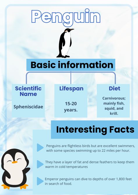 Penguin poster with interesting facts! #animal#poster#penguin Penguin Facts Preschool, Penguin Poster, Penguin Facts, All About Penguins, Magellanic Penguin, Flightless Bird, Emperor Penguin, Animal Poster, Special Interest