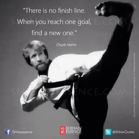 Karate Quotes Motivation, Ninja Quotes, Karate Quotes, Martial Arts Quotes, Bruce Lee Quotes, Shotokan Karate, Pencak Silat, Warrior Quotes, Martial Artists