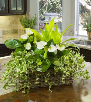 DIY Houseplant Garden Houseplant Arrangement Ideas, House Plant Arrangements, Houseplant Arrangements, Plant Arrangements Indoor, Diy Indoor Garden, Diy Planters Indoor, Planter Arrangements, Plant Arrangements, Vegetable Garden Tips