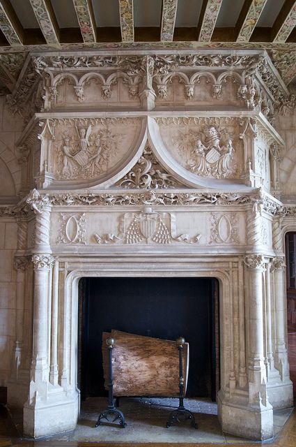 Gothic revival fireplace Gothic Revival Fireplace, Gothic Fireplace Mantels, Gothic Revival Interior, Beautiful Fireplaces, Gothic Fireplace, Gothic Revival, Fireplace Hearth, Antique Fireplace, Home Fireplace