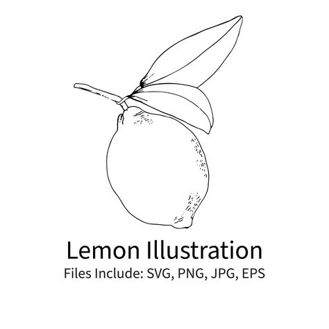 Lemon Line Tattoo, Lemon Drawing Simple, Lemon Line Drawing, Tablecloth Embroidery, Lemon Illustration, Lemon Drawing, Lemon Boy, Cupid Tattoo, Design Toolkit