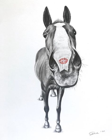 Pola on Instagram: “I was going to save this post for Valentine’s Day, but I came to the conclusion that we should cherish the one’s we love every day, and not…” Horse Drawing Pencil, Easy Horse Drawing, Horse Drawing Tutorial, Horse Art Ideas, Word Tattoo Ideas, Horse Tattoo Design, Horse Art Drawing, Ear Tattoo Ideas, Word Tattoo