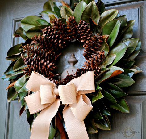 Your front door is the first impression of your home. Greet friends and family with one of these beautiful fall door wreaths. Magnolia Leaves Christmas, Natural Fall Wreath, Magnolia Christmas Wreath, Diy Magnolia Wreath, Magnolia Leaf Wreath, Diy Christmas Door, Easy Fall Wreaths, Door Wreaths Fall, Magnolia Wreath