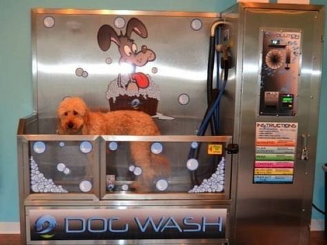 Evolution Self Serve Dog Wash | Top Rated Coin-Operated Dog Wash Dog Wash Business, Self Service Dog Wash, Dog Wash Station, Diy Dog Wash, Dog Boarding Ideas, Indoor Dog Park, Dog Kennel Cover, Pet Services, Dog Grooming Shop