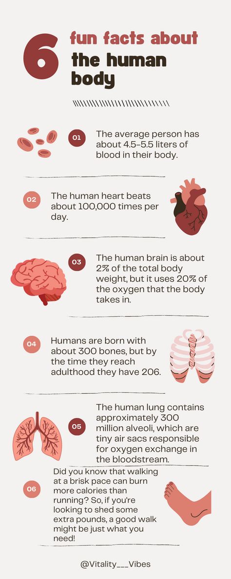 Human Body Facts, Human Lungs, Facts About Humans, Anti Oxidant Foods, Nurse Study Notes, The Human Heart, Facts You Didnt Know, Body Hacks, Fascinating Facts