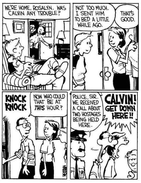 Calvin And Hobbes Humor, Best Calvin And Hobbes, The Far Side Comics, Newspaper Cartoons, Bill Watterson, Calvin And Hobbes Comics, Newspaper Comic Strip, Far Side Comics, Best Comic Books