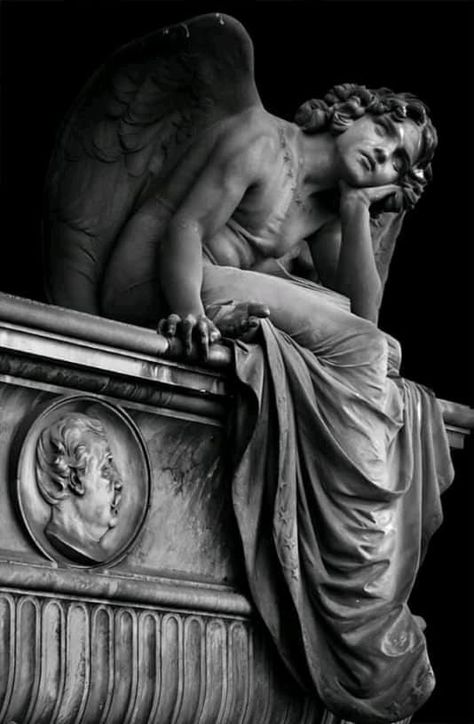 Angel Of The Night, Art Photography Portrait, Angel Sculpture, Cemetery Art, Monteverde, Angel Statues, Aspiring Artist, The Angel, Anatomy Art