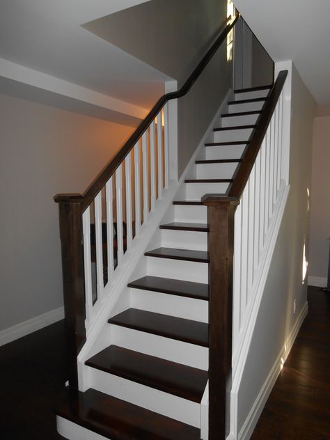 Stairs with dark stain and white risers. Dark Stained Stairs, Stairs With White Risers, Stained Stairs, Staining Stairs, Shed Apartment, White Stair Risers, Dark Staircase, Stairs And Hallway Ideas, Basement Stair