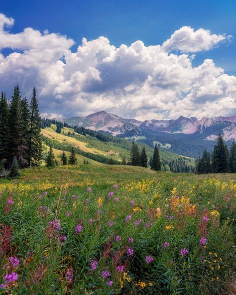 Spring Landscapes, Crested Butte Colorado, Colorado Summer, Pretty Landscapes, Crested Butte, Spring Landscape, 영감을 주는 캐릭터, Nature Landscape, Nature Aesthetic